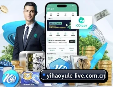 壹号娱乐 APP 深度功能